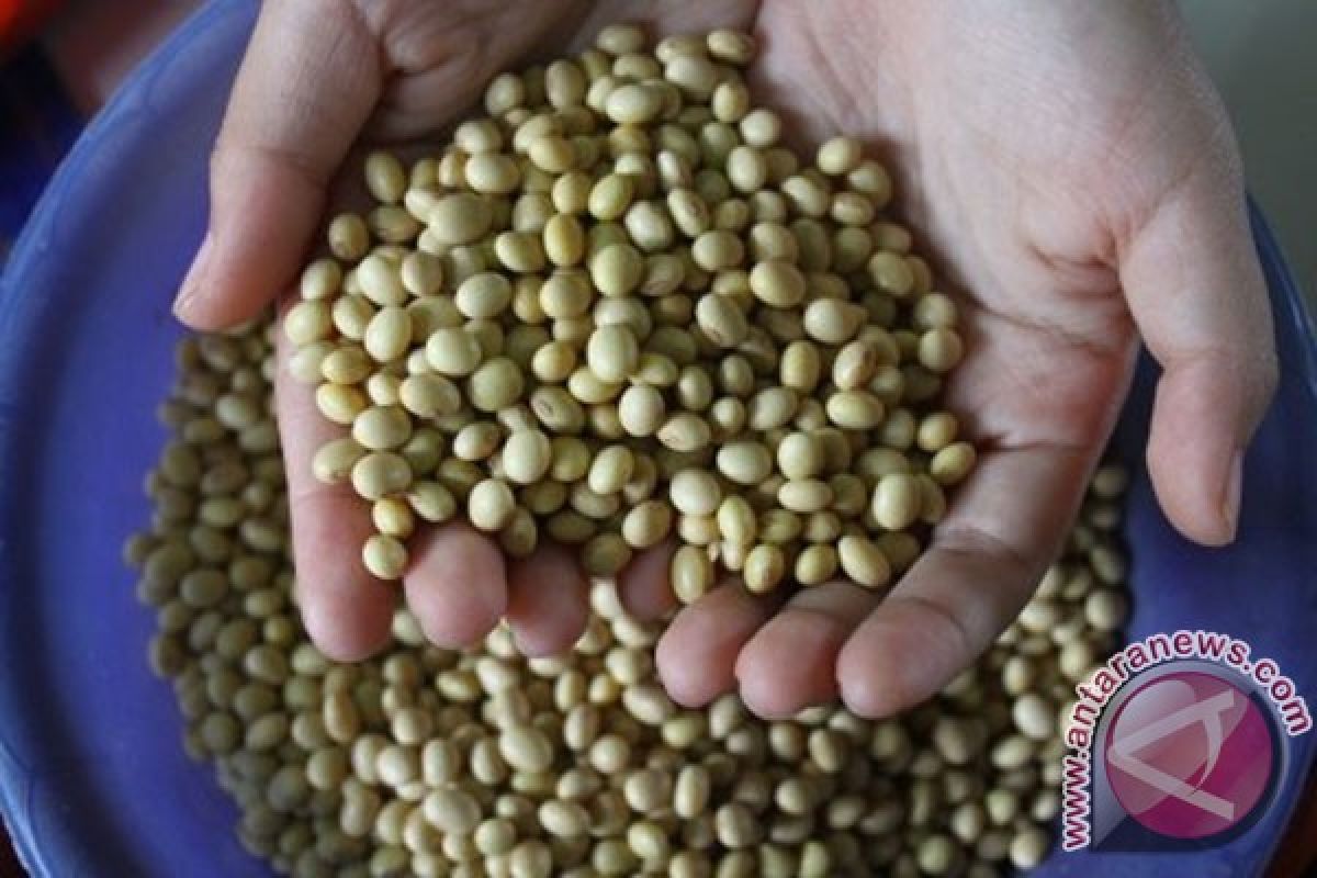 Indonesia rayakan hari kacang sedunia