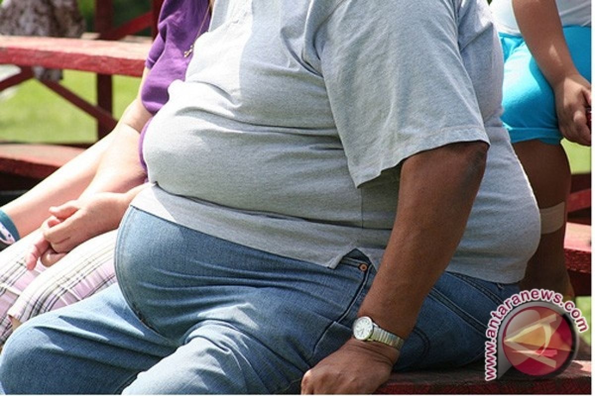 Warga dunia yang gemuk naik tiga kali lipat sejak 1980