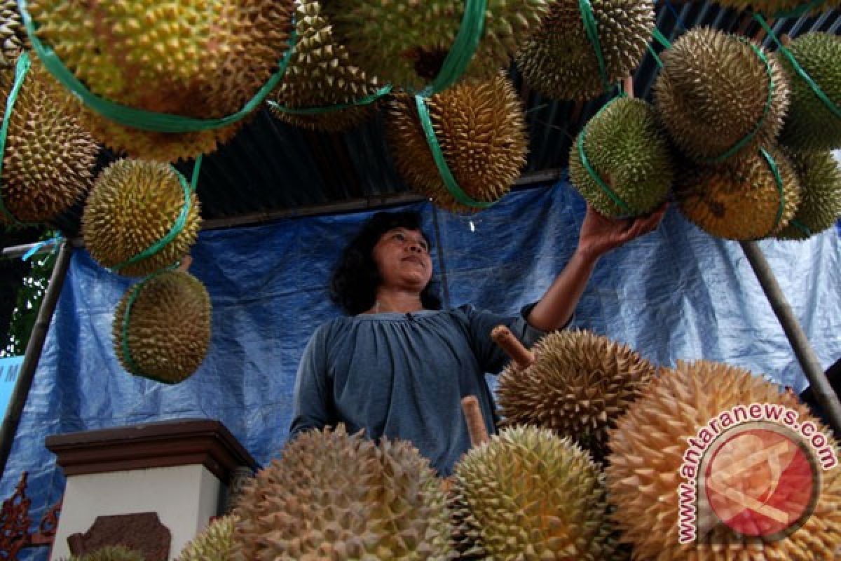 Mahasiswa Bengkulu olah biji durian jadi susu bergizi