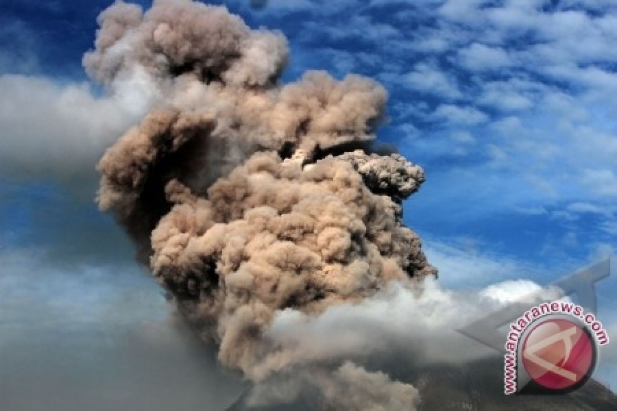 Korban Tewas Awan Panas Sinabung 15 Orang