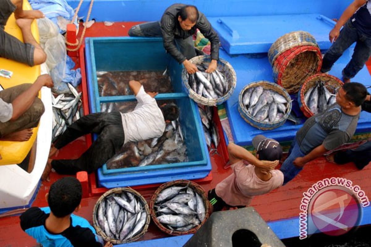 Potensi laut Bengkulu baru dimanfaatkan 0,01 persen