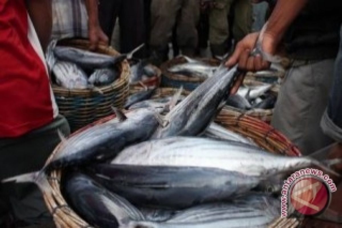 Konferensi Tuna Eropa Apresiasi Langkah Tegas Iindonesia