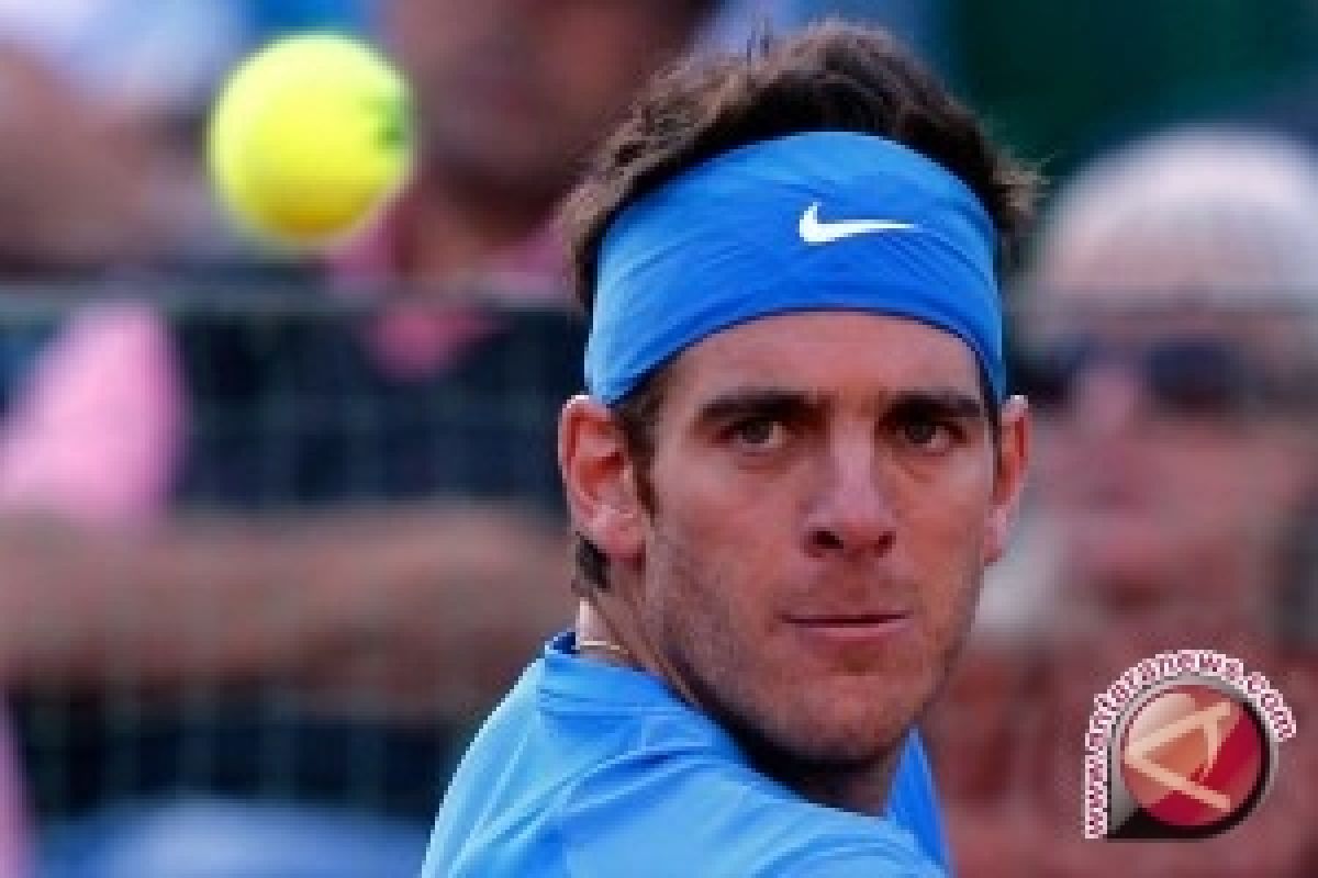 Del Potro melaju di Sydney internasional