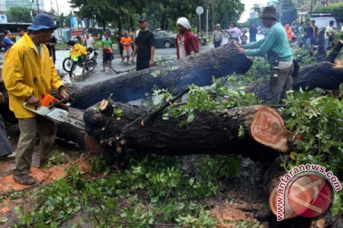 Pemkot Medan antisipasi dampak cuaca ekstrem