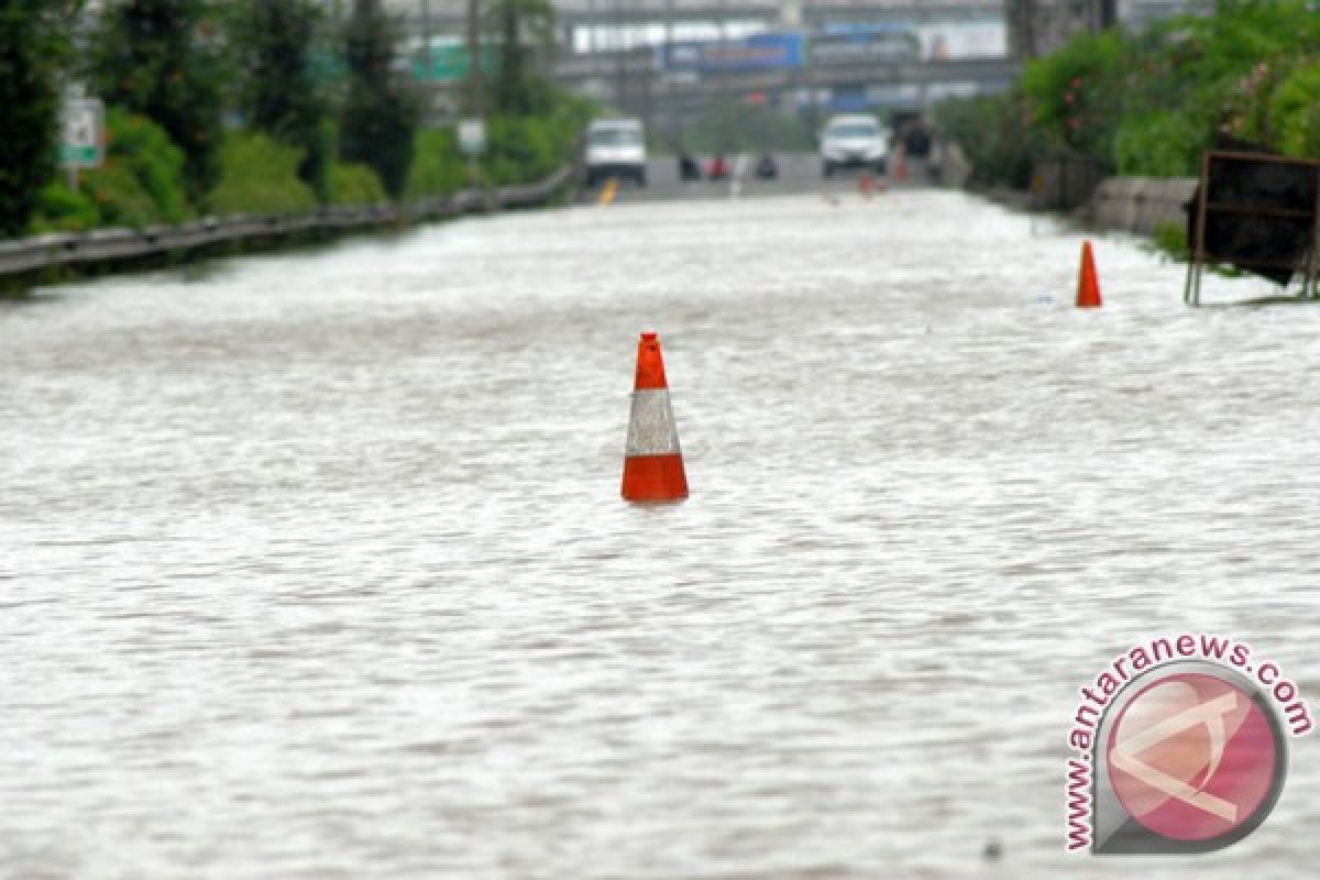 19.000 Hektare sawah Subang rusak