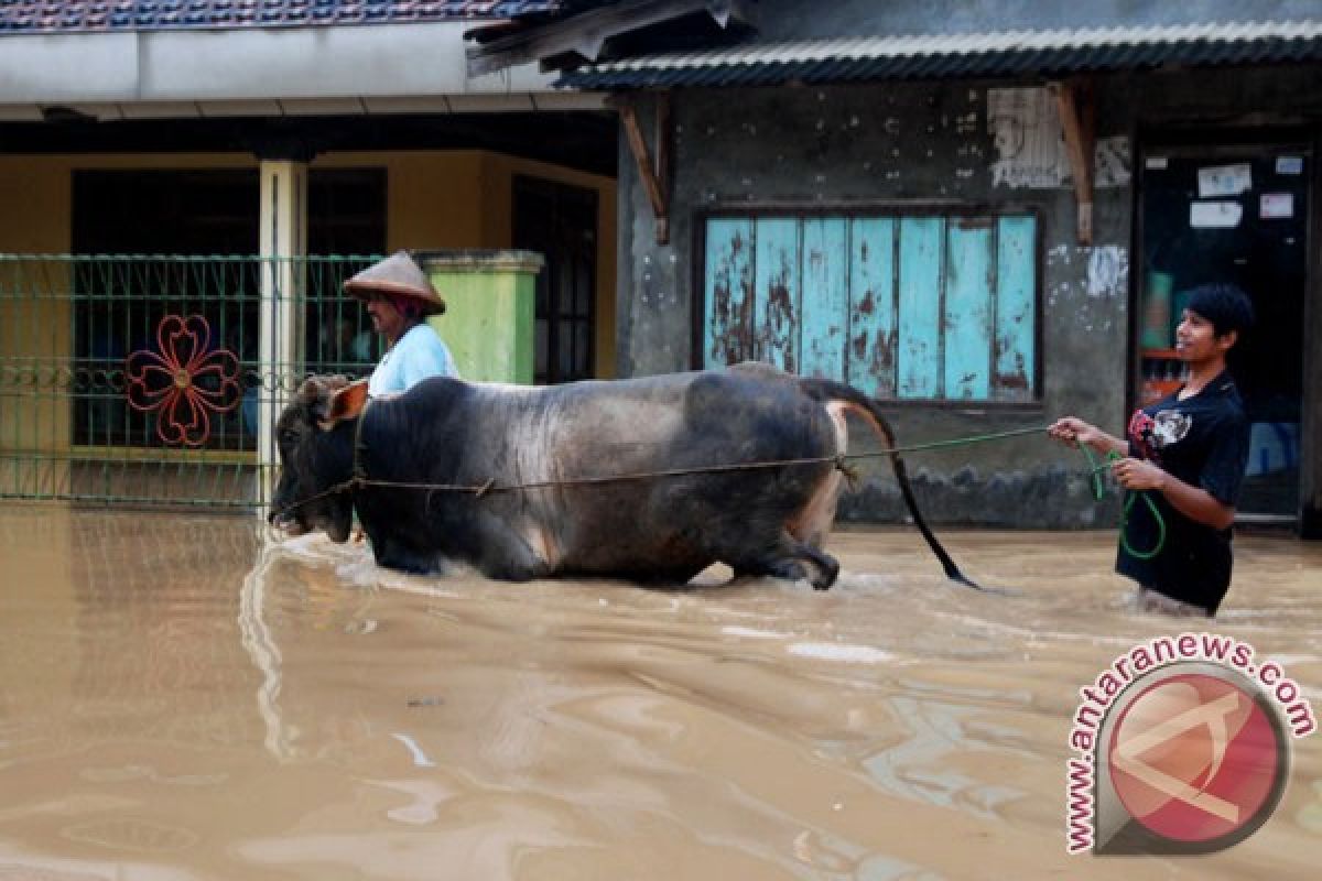 Jumlah pengungsi di Pati capai 45.250 orang