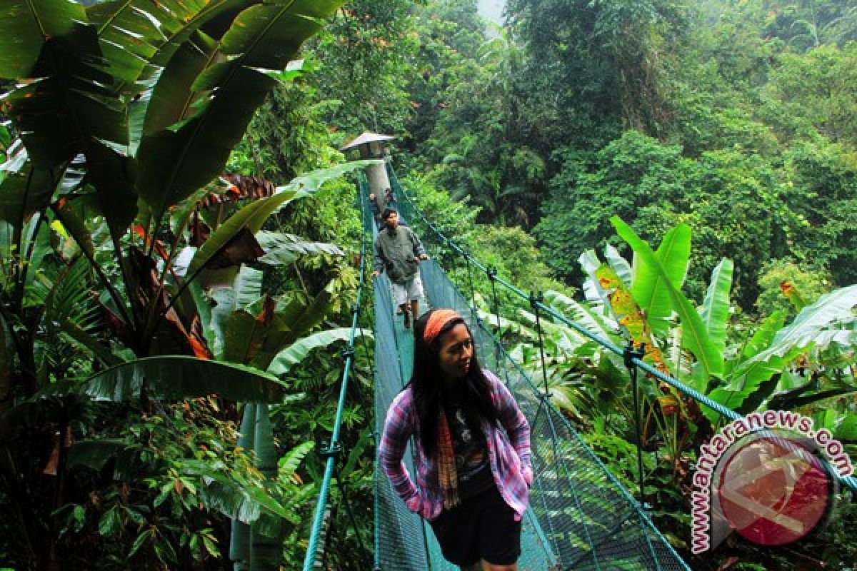 Jalur pendakian Gunung Gede Pangrango ditutup sementara