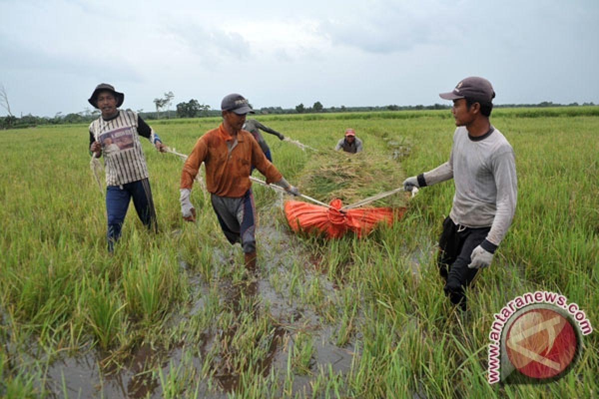 Distan minta Petani waspada banjir