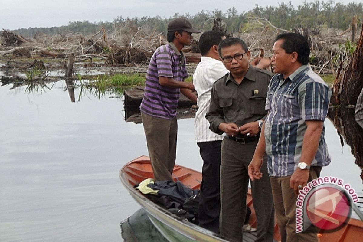  Dampak Aktivitas PT Lonsum di Muara Ohong