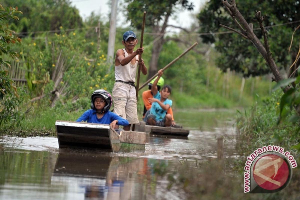 Banjir kiriman Sumbar mulai menggenangi Kampar