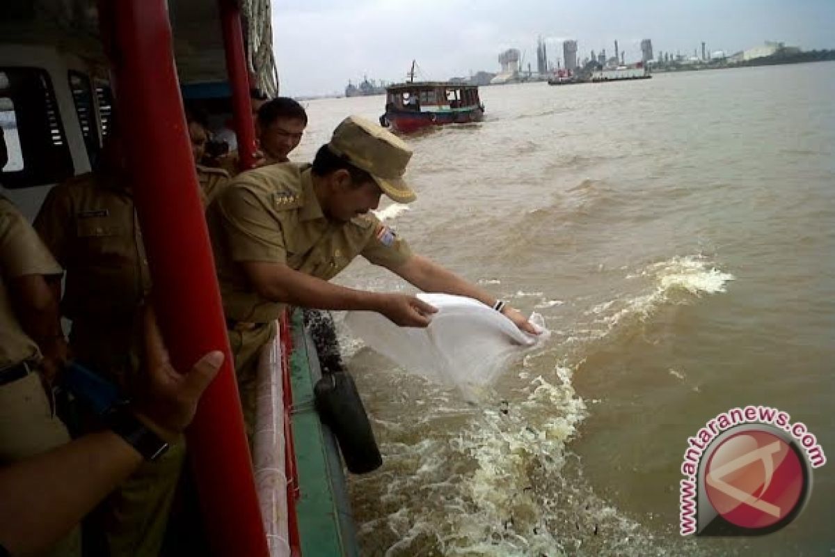 Pemprov lepas bibit ikan langka di Jakabaring Palembang