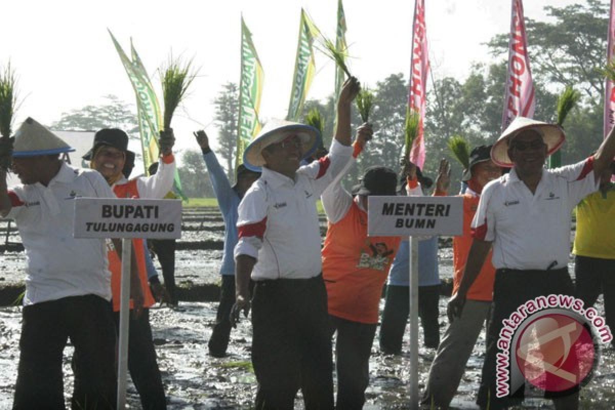 Untung tiba-tiba ingat Petrofish