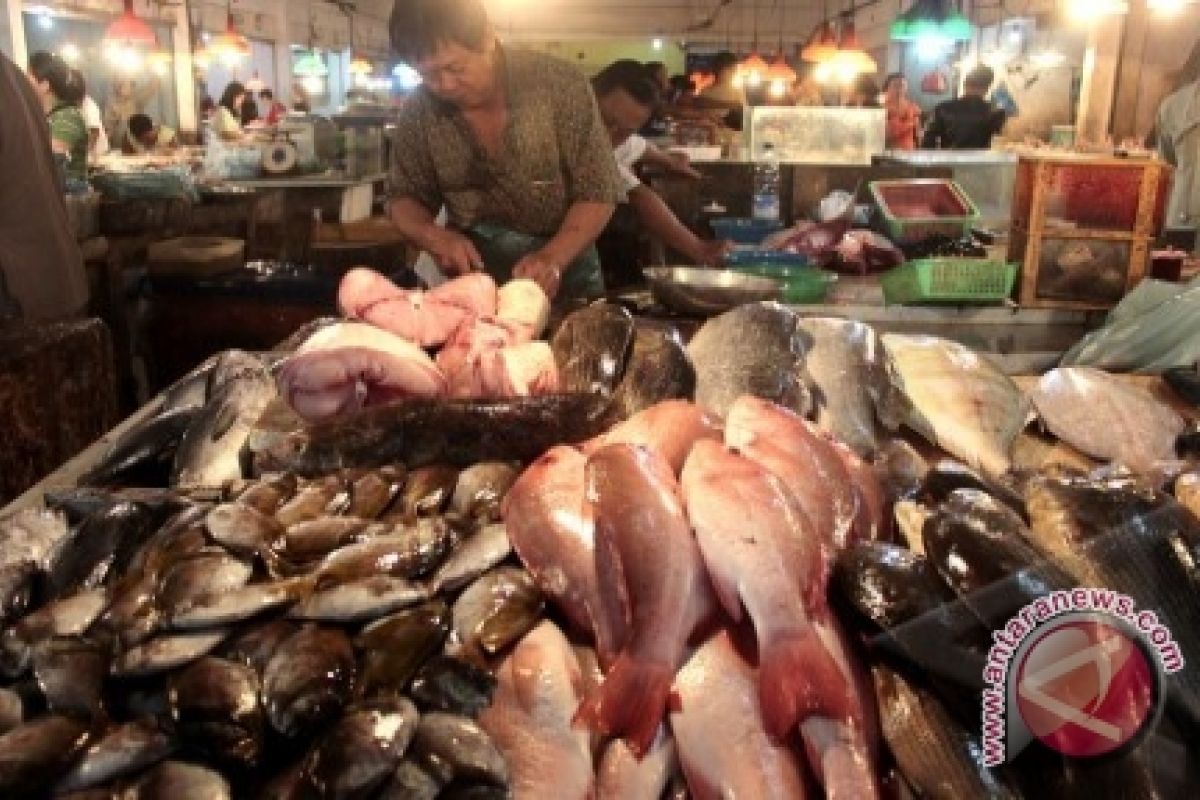 Harga ikan di pasar tradisional Palembang stabil