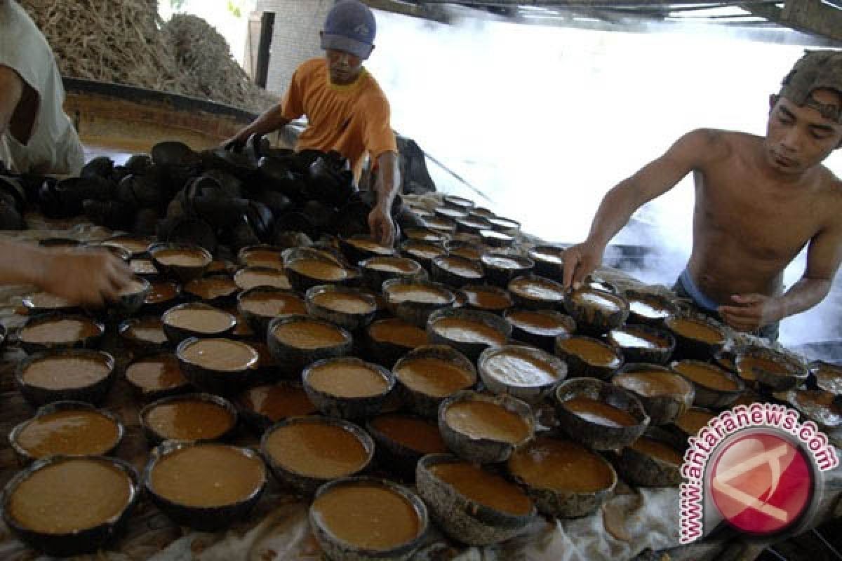 Hatta Rajasa datangkan pelatih petani gula kelapa 