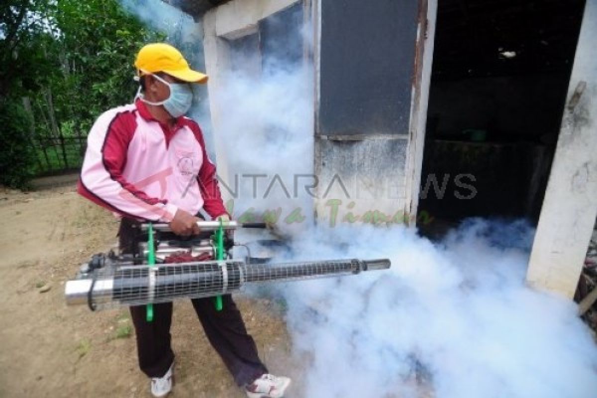 Wabah Chikungunya Serang Puluhan Warga Tulungagung