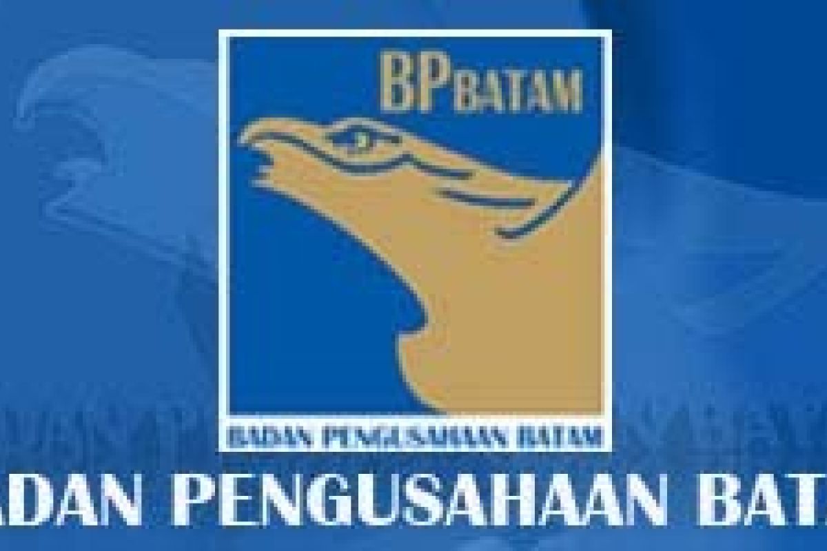 BP Batam Anggarkan Rp100 Miliar Selesaikan Pelabuhan Batuampar