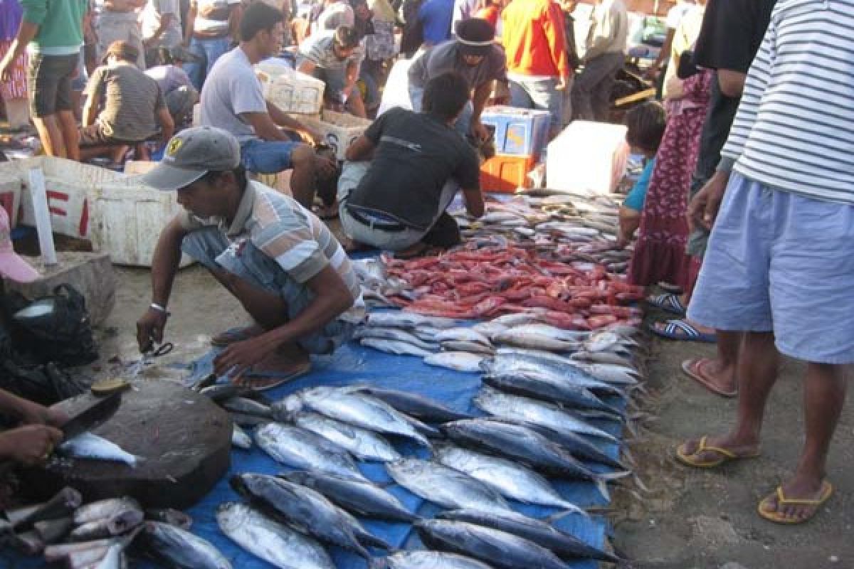 Angin Kencang Pengaruhi Harga Ikan Di Kendari 