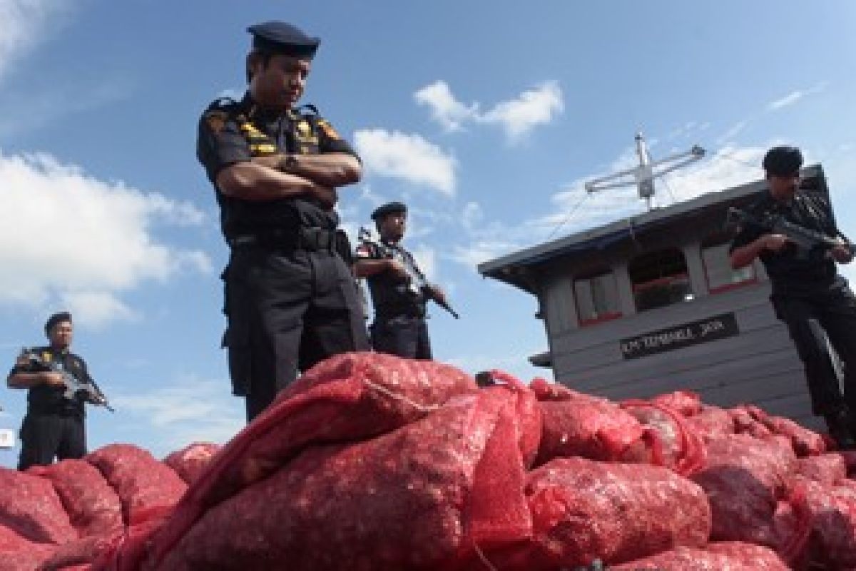 BC Tangkap Kapal Angkut Bawang Impor Ilegal