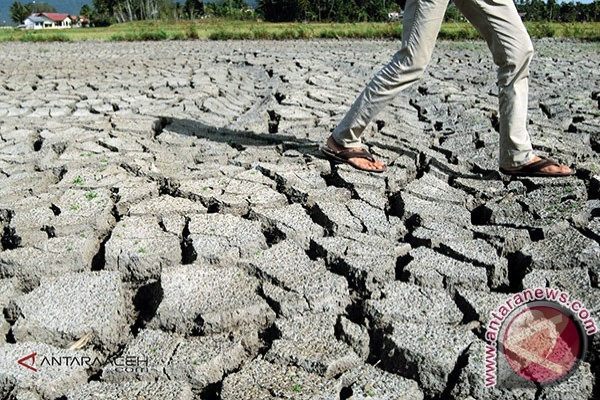 Akademisi: Aceh perlu perbaikan karst agar kekeringan tak berulang