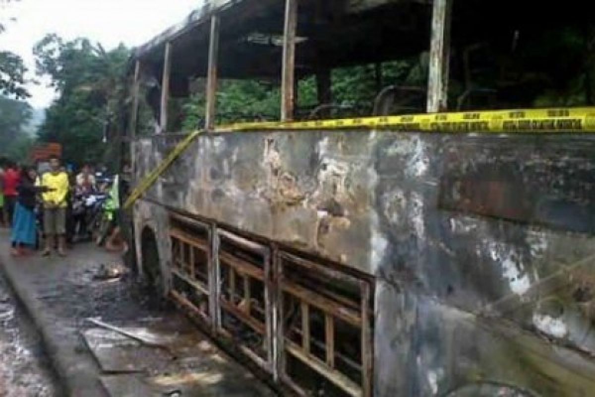 Api Las Diduga Penyebab Dua Bus Dagang Pesisir Terbakar 