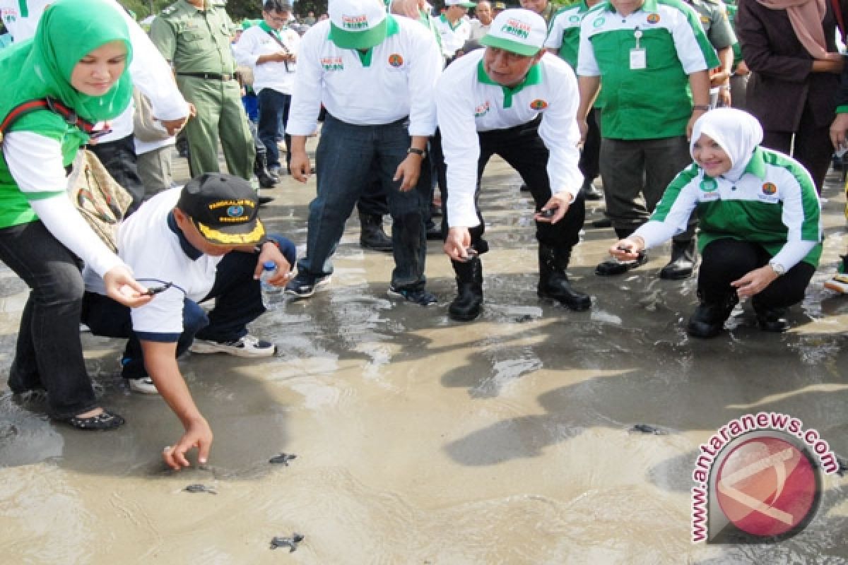 Tiga jenis penyu dilepas di Pantai Panjang