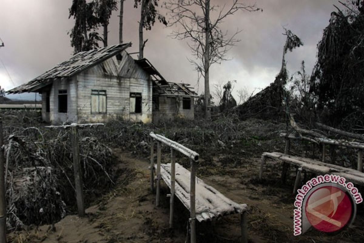 Legislator desak pemerintah tetapkan Sinabung bencana nasional 