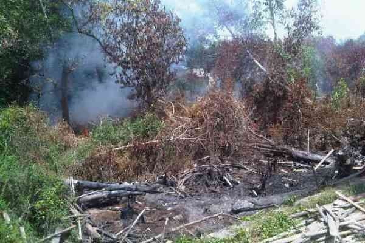 Sejumlah Kawasan Lahan Gambut di Pontianak Terbakar 