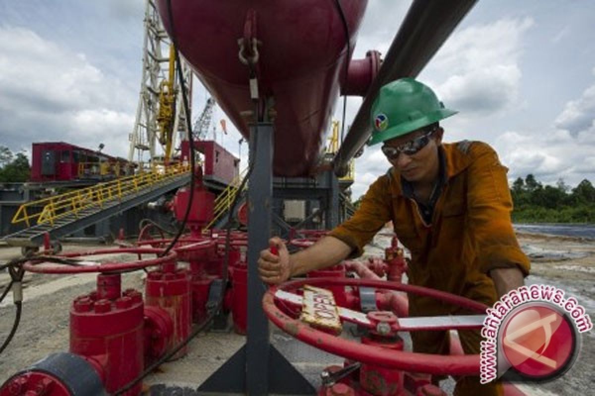 Pertamina EP temukan cadangan migas di Jatibarang