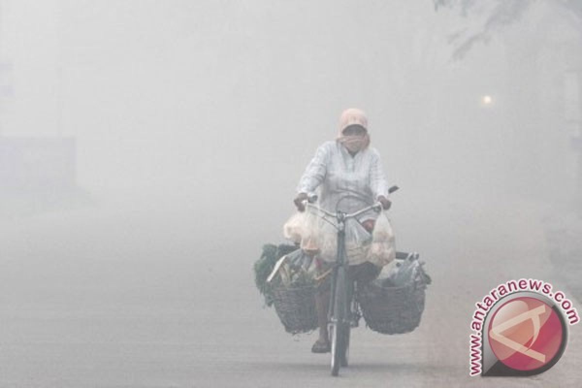 Tiga titik api terpantau di Kabupaten Sekadau