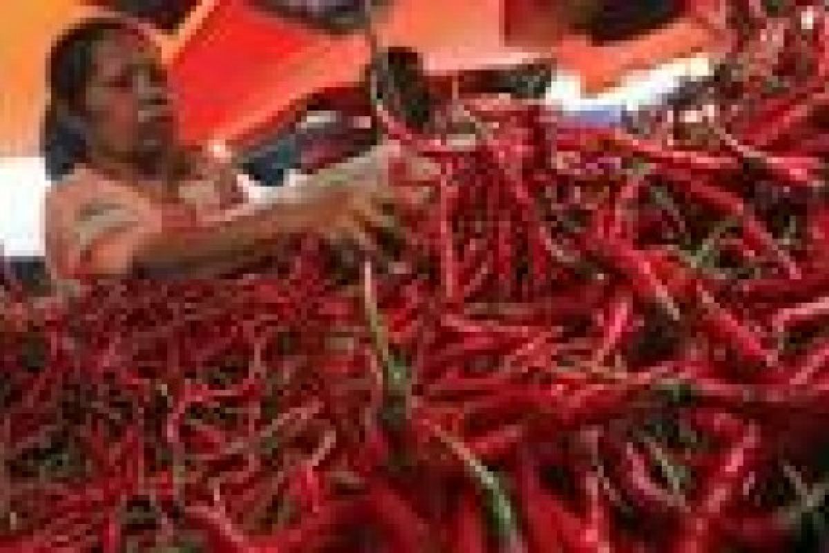 Red Chili Price Stays on Rp40,000 Per Kilogram