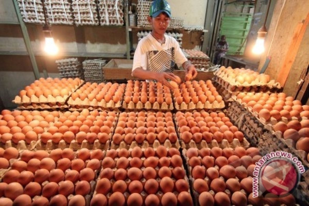 Disperindag Maluku Tengah pantau stok telur