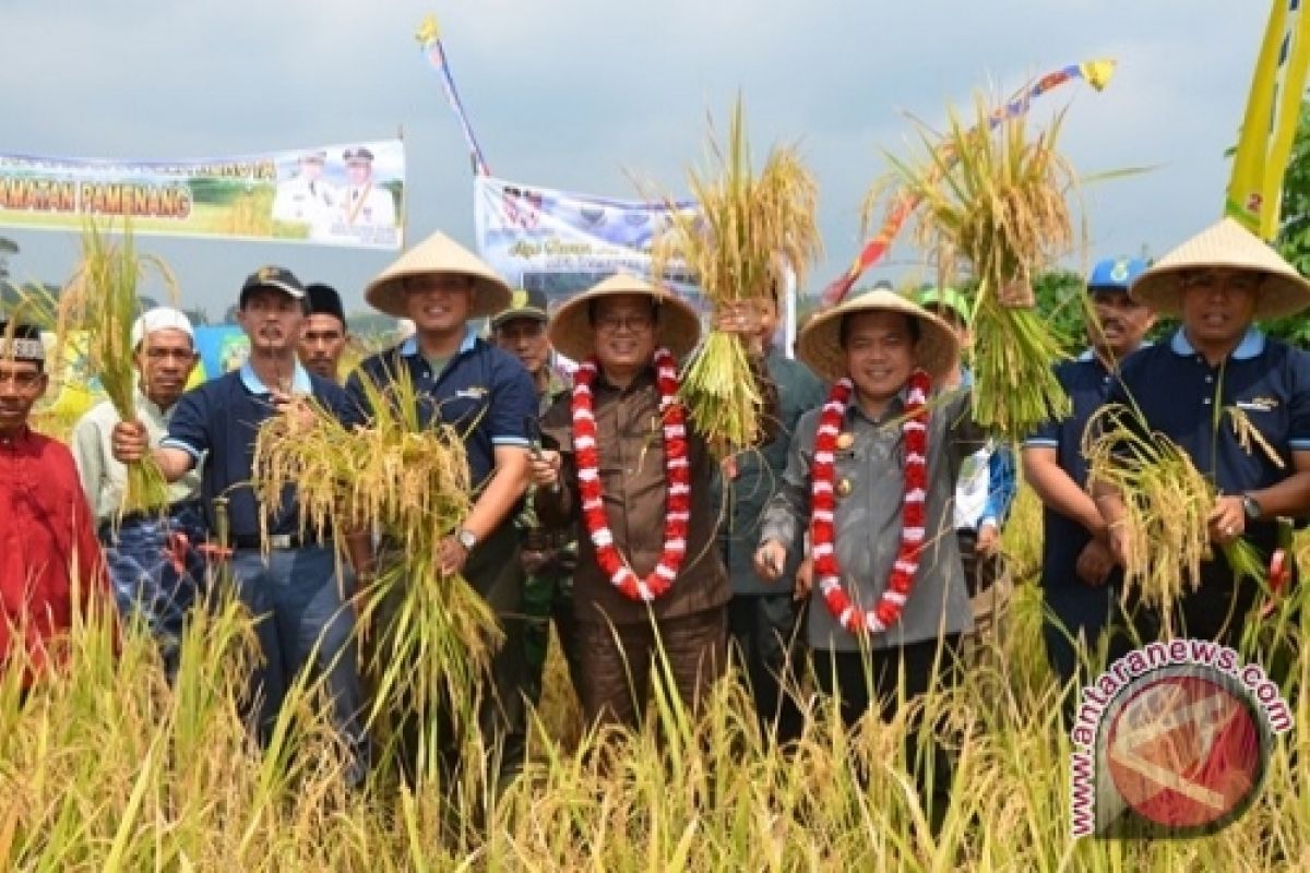 300 ha sawah Merangin rusak akibat alihfungsi dan PETI