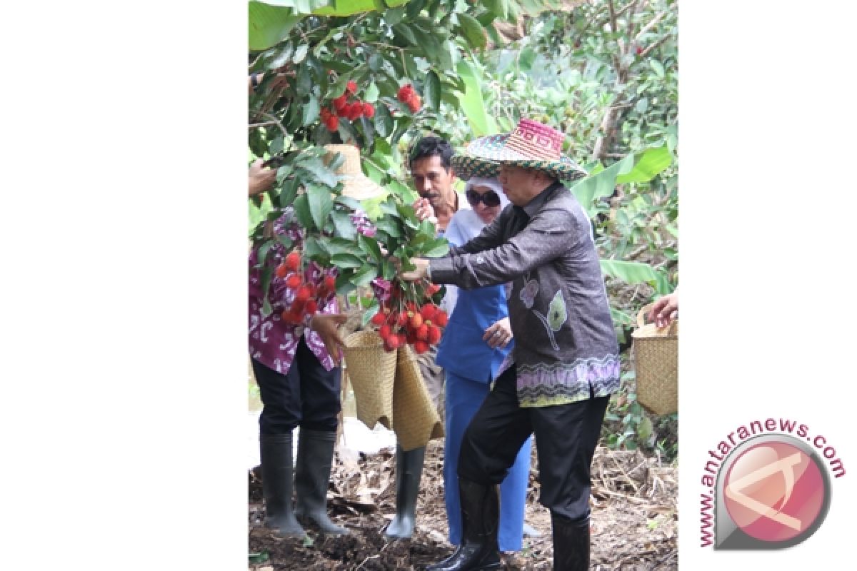 Banjarmasin Mayor Preserve Garuda Rambutan