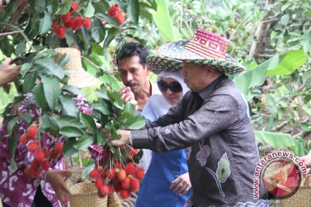 Sungai Lulut  Zona Kebun Rambutan 