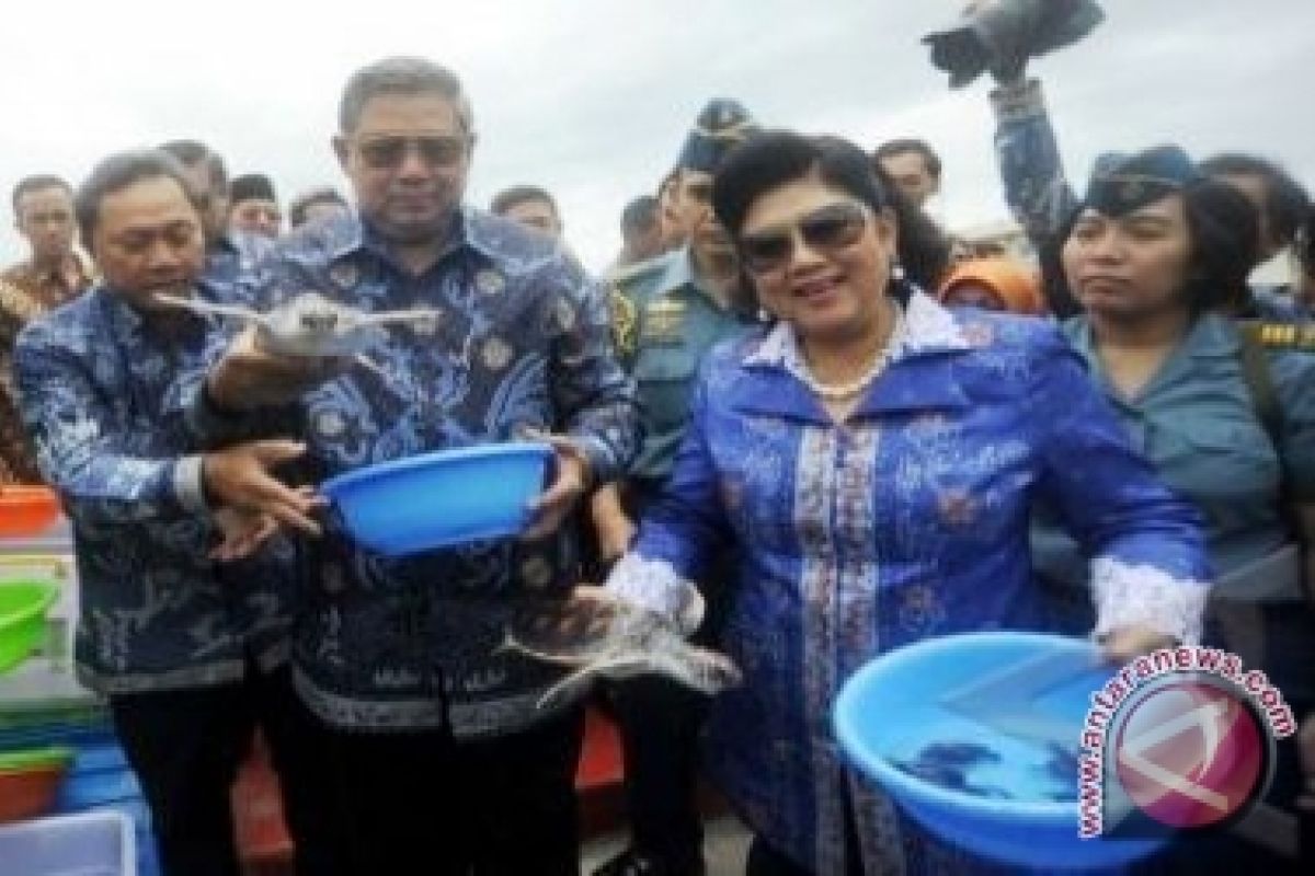 SBY nikmati aneka sajian angkringan
