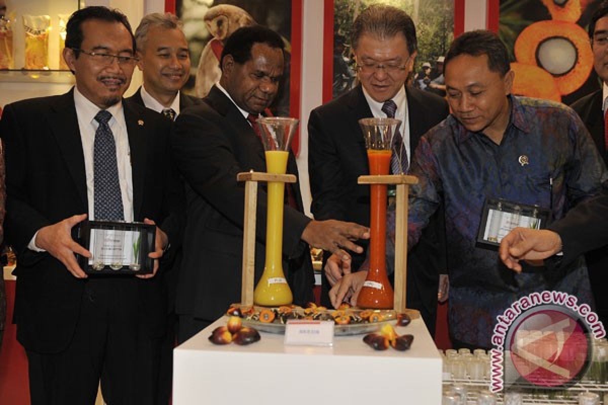 Pengembangan kelapa sawit ramah lingkungan menjadi perhatian