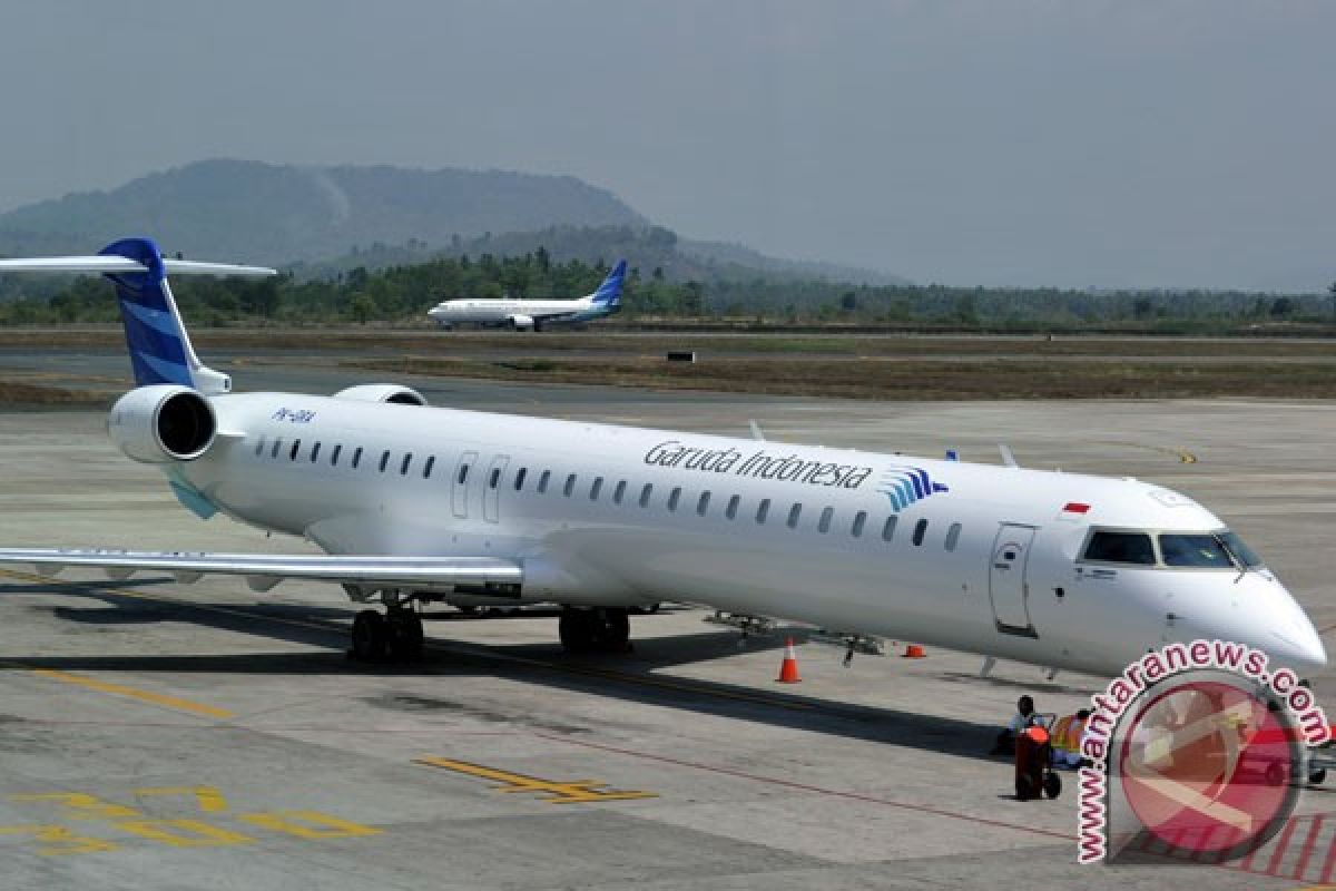Garuda Indonesia sets ambitious target in 2014