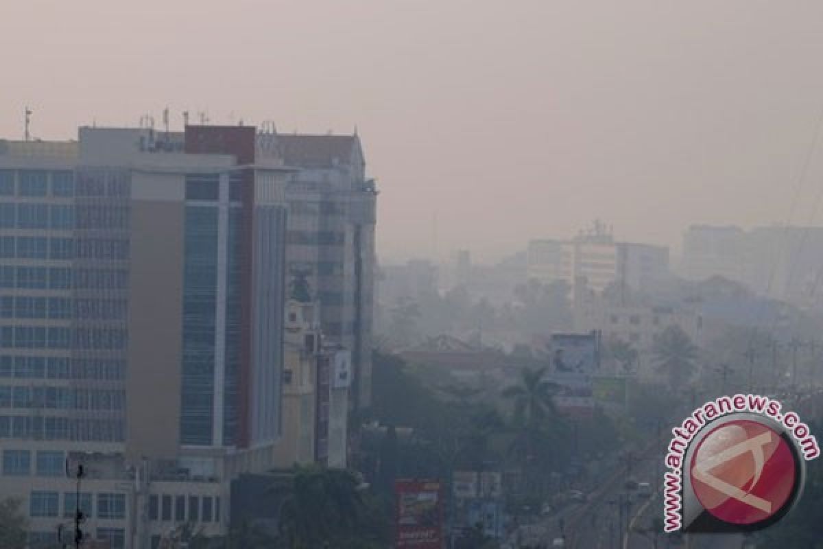 Visibility only 50 meters in Riau due to haze