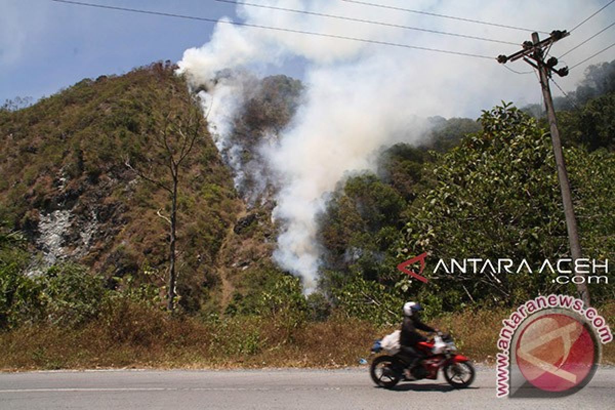 Empat hektare lereng gunung hangus terbakar