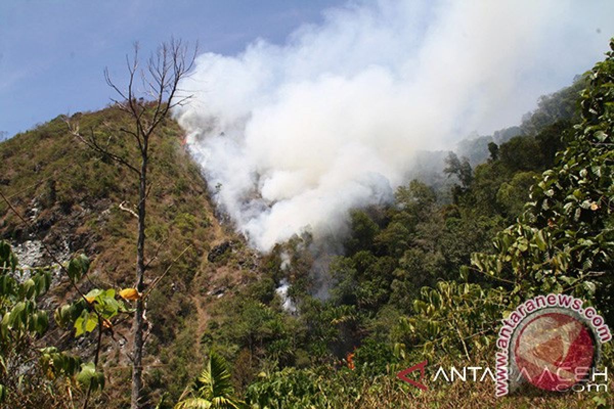 Kebakaran Hutan Aceh Jaya Capai 199 Hektare