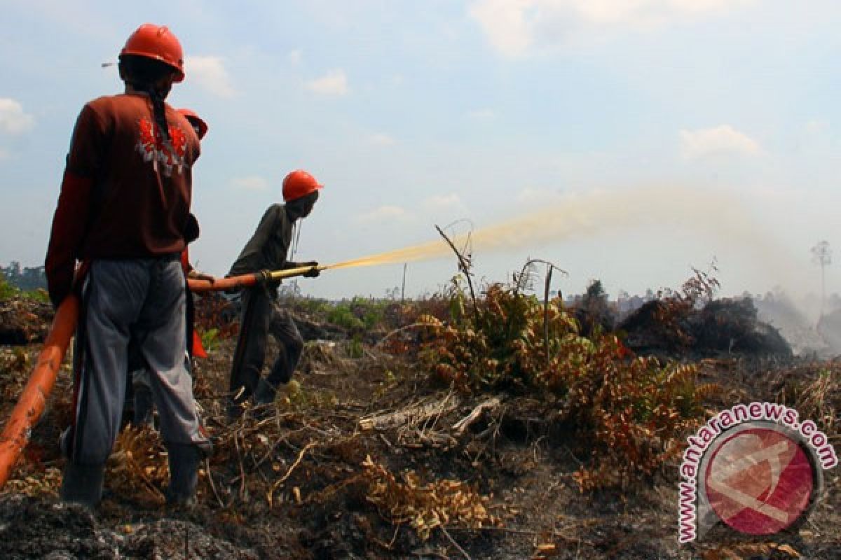 Riau perpanjang status siaga kebakaran lahan