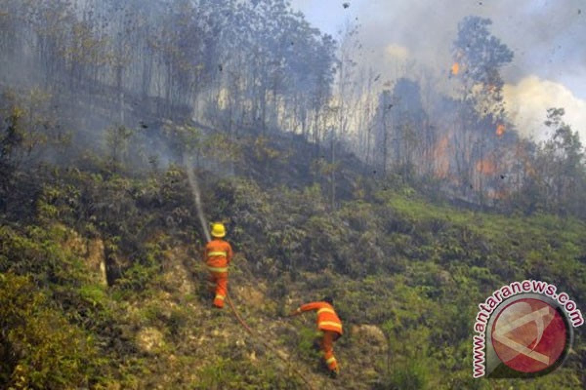 Riau minta bantuan pesawat pemadaman kebakaran