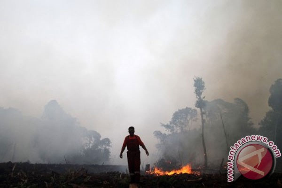 10 people named as suspects in Riau`s forested land fires