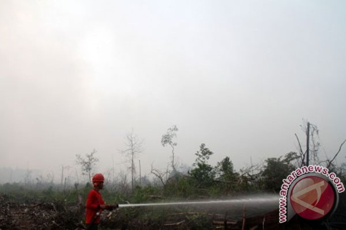 Satellite detects 81 hotspots in Riau