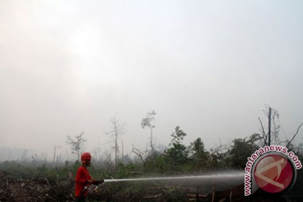 Kabut asap selimuti Kota Kualatungkal