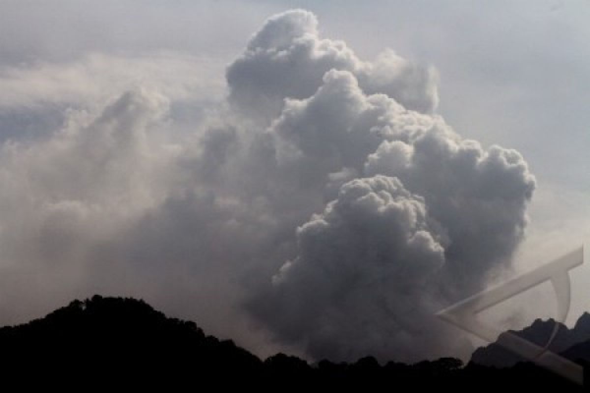 Erupsi Kelud Hancurkan 70 Persen Kawasan Lindung 