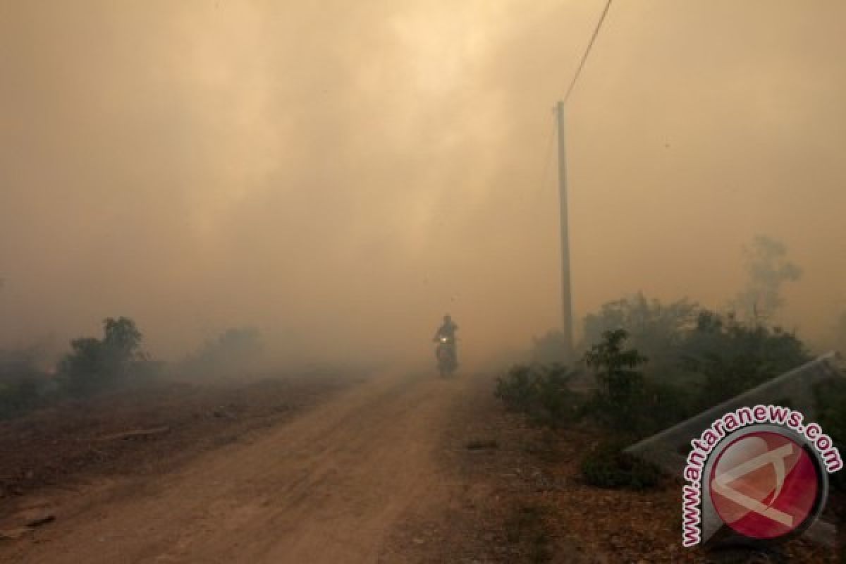 Petugas padamkan lahan gambut terbakar di Singkil