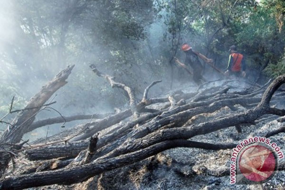 US offers training for forest rangers in Indonesia