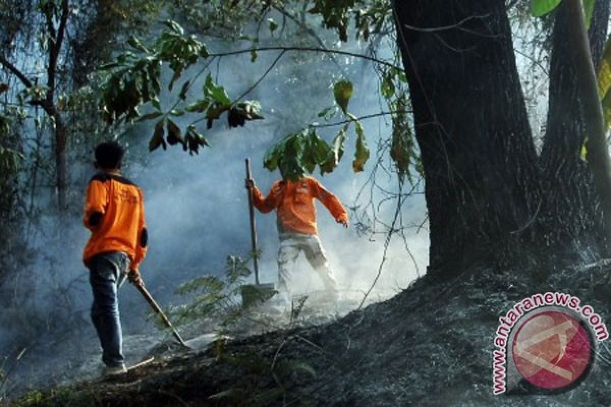 Kebakaran hutan kembali landa Batam