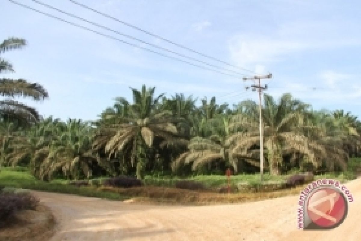  Disbun Pacu Pengembangan Perkebunan Ramah Lingkungan